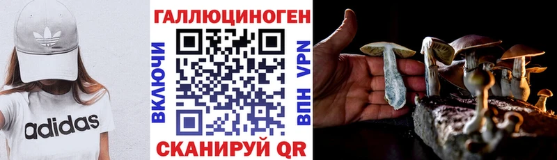 Галлюциногенные грибы Psilocybe  Таруса 